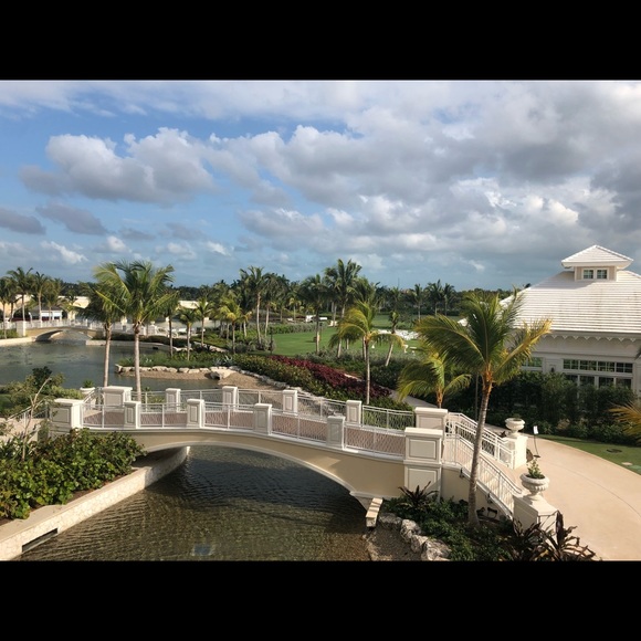 Meet your Posher, Rose - Picture 1 of 2